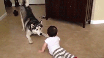 这种上古与人同葬的动物，还能帮你减肥、长寿？