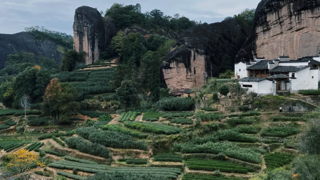 我和我的团队 | 盈科保理律师团队2021年武夷山团建活动圆满举行