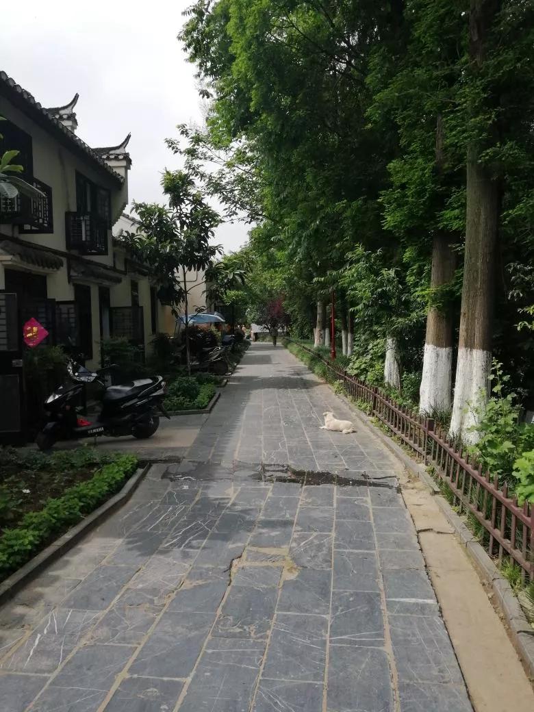 同我一起去旅行：安徽篇——合肥！