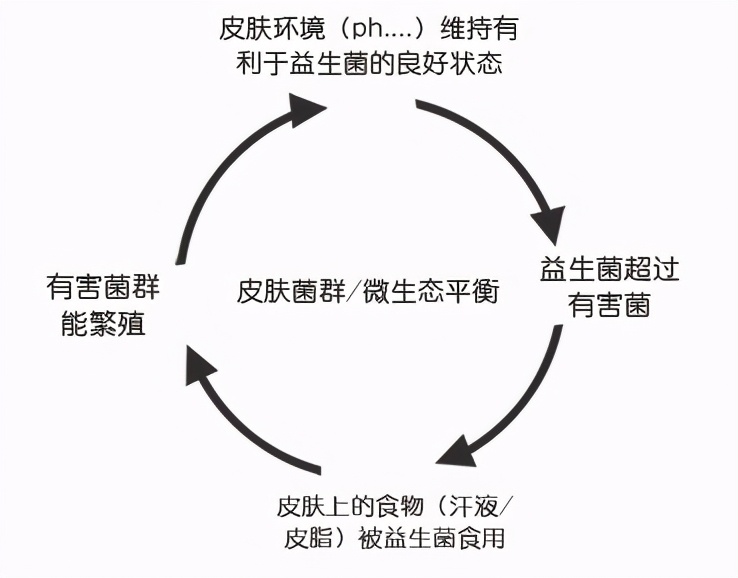 SK-II神仙水和兰蔻小黑瓶怎么选？超详细“成分+使用感”分享