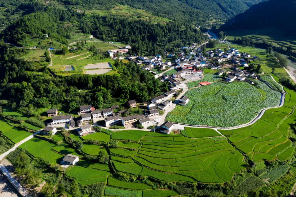 「分享荟全纪录」张平原：乡村一样可以办出好学校