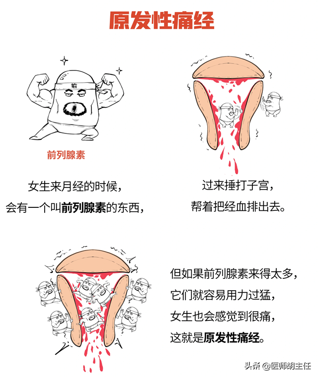 十元钱100片的谷维素，除了改善失眠，也常用于这5种疾病