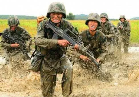 义务兵和士官，都是战斗序列中的一员，但也有很多的区别