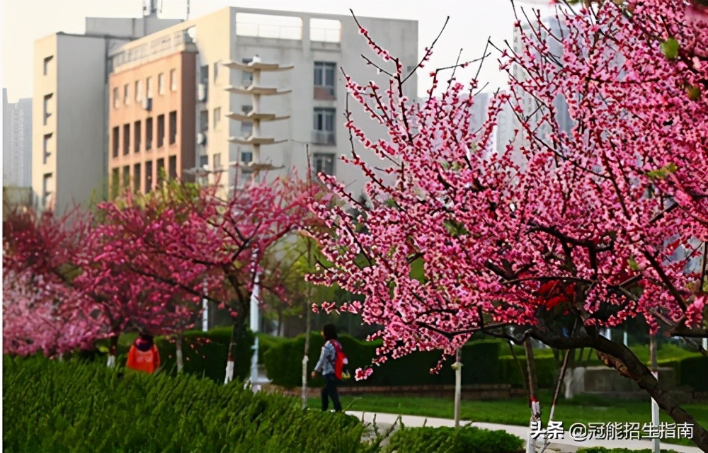 成都包就业的幼师学校有哪些-管理比较好的幼师学校