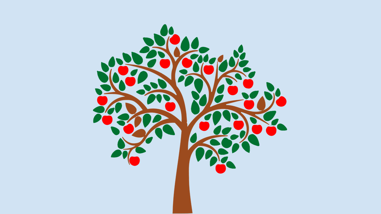 四维科技教育课程服务全新升级