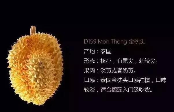 榴莲种类八大榴莲品种看完你就全知道金枕猫山王甲仑干尧青尼