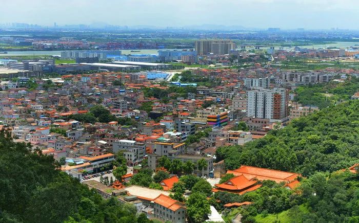 拓新教育 | 佛山市顺德区龙江外国语学校教育品牌及课程体系构建