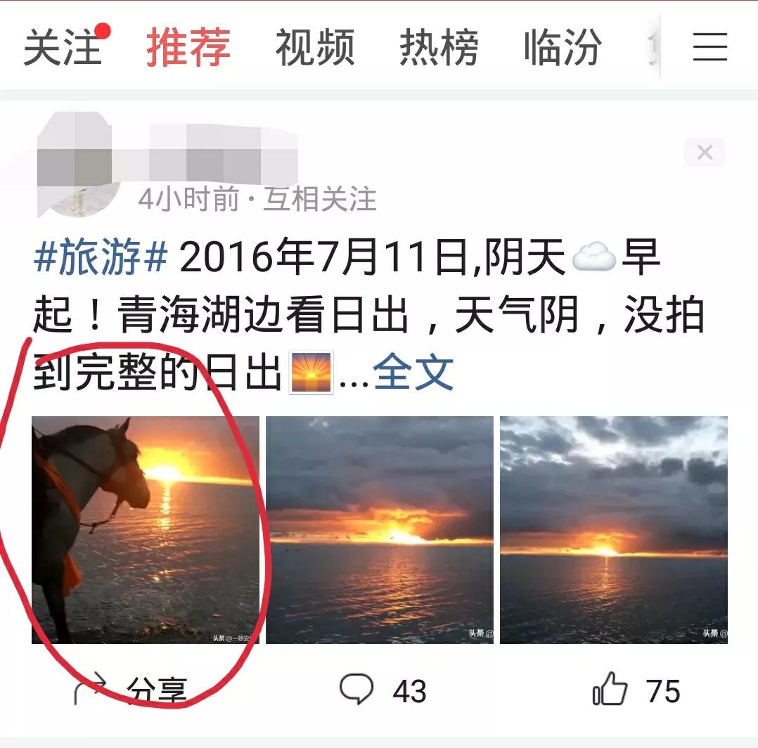 为什么作品的阅读量和评论量那么少？是因为没有掌握好的方法