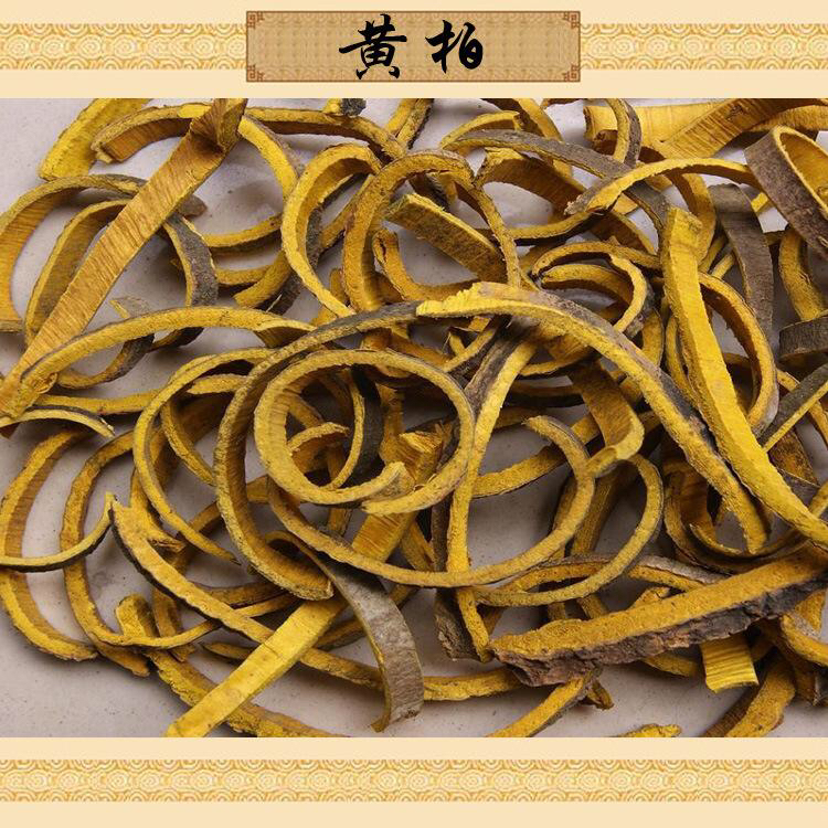 黄柏的功效与作用及食用方法中药材黄柏清热燥湿泻火解毒清虚热