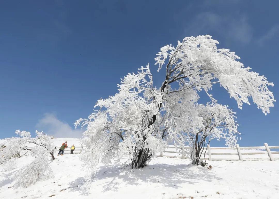 开车1小时，打卡家门口的超大滑雪场（上）