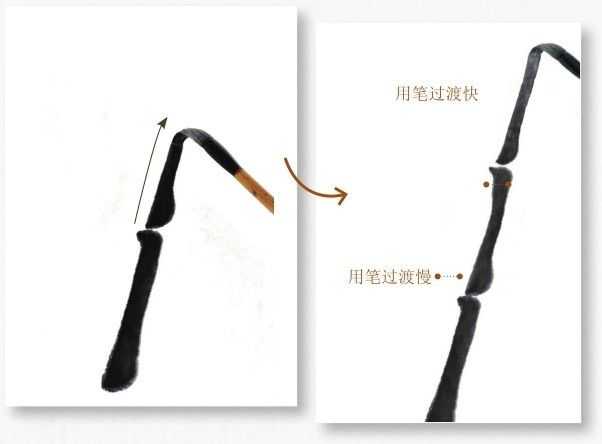 竹子很难画？教你从最基础的竹干画起，简单易学，适合0基础临摹