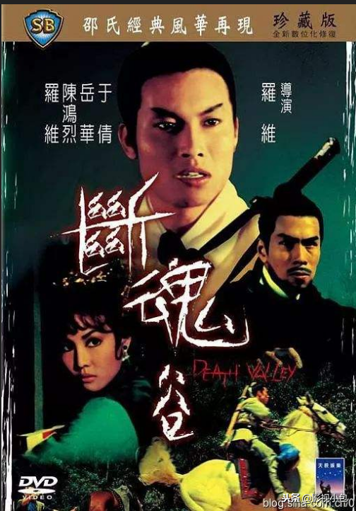 影片讲述了断魂谷赵家庄主两弟子,赵玉龙和赵剑英为争夺财产互相残杀