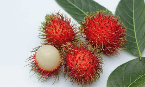 鹤壁市民 红毛丹的功效与作用 红毛丹的正确吃法