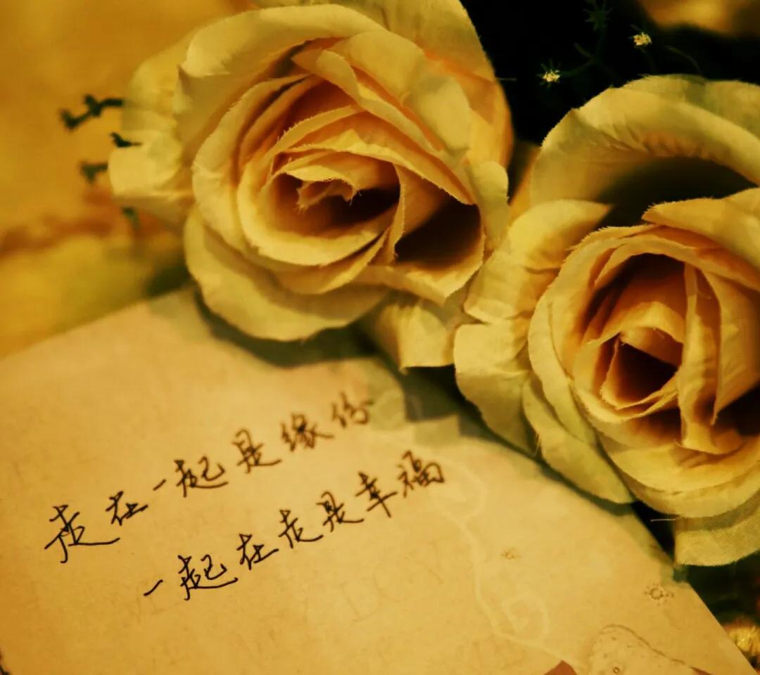 唯美遇见句子短句