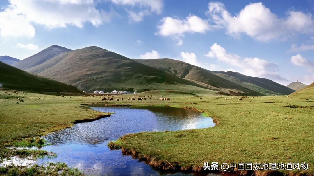 玫瑰、兰花、康乃馨，牡丹、杜鹃、山茶花，云南的花到底有多美？