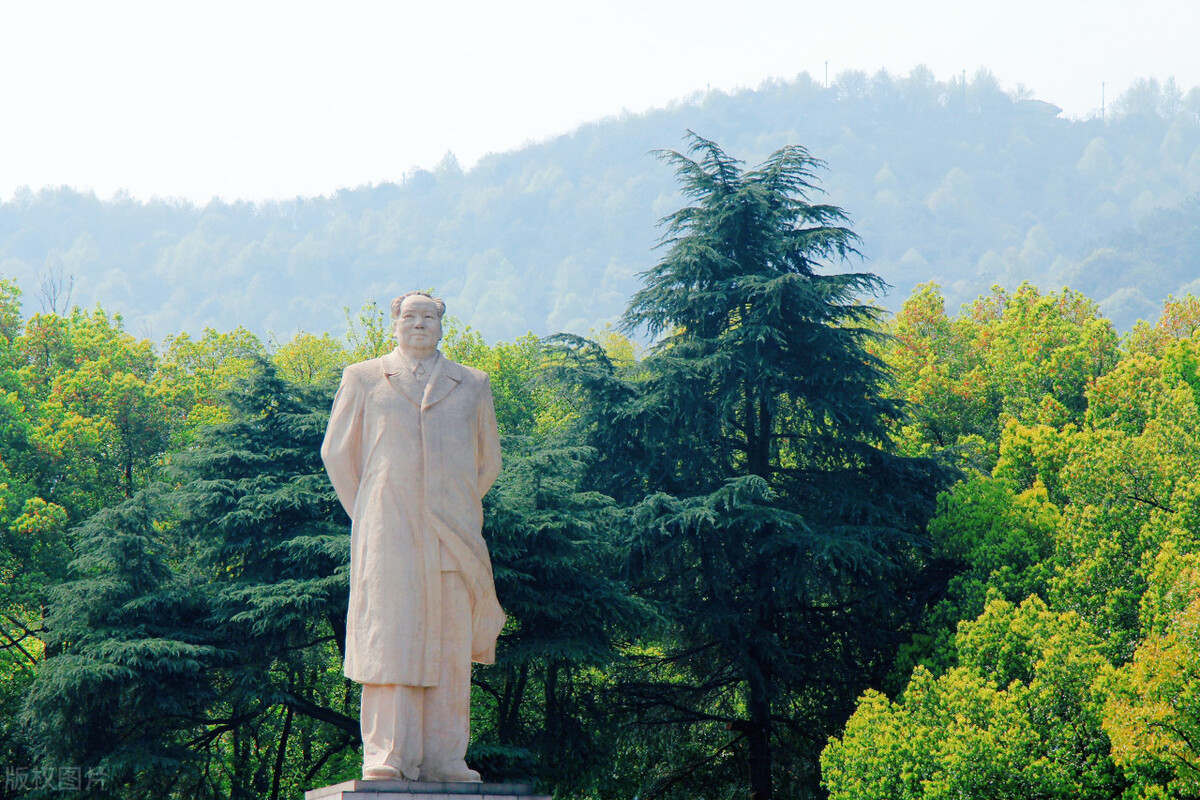 湖南大学考研（研究生新生已婚比例有多高）