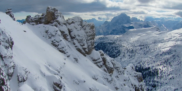 中国境内的“万鹰之王”——金雕，能单杀野狼，叼着山羊飞