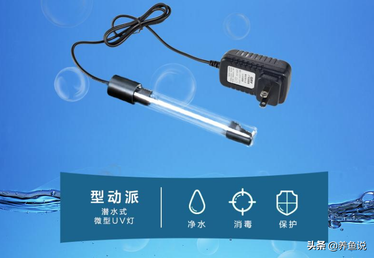 魚缸綠水克星，UV燈紫外線殺菌燈的使用方法，每天開燈多久？