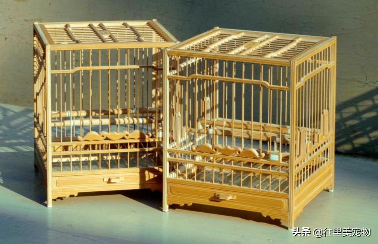 9种常见鸟笼的制作方法介绍，让宠物鸟也能有一个适合自己的小窝