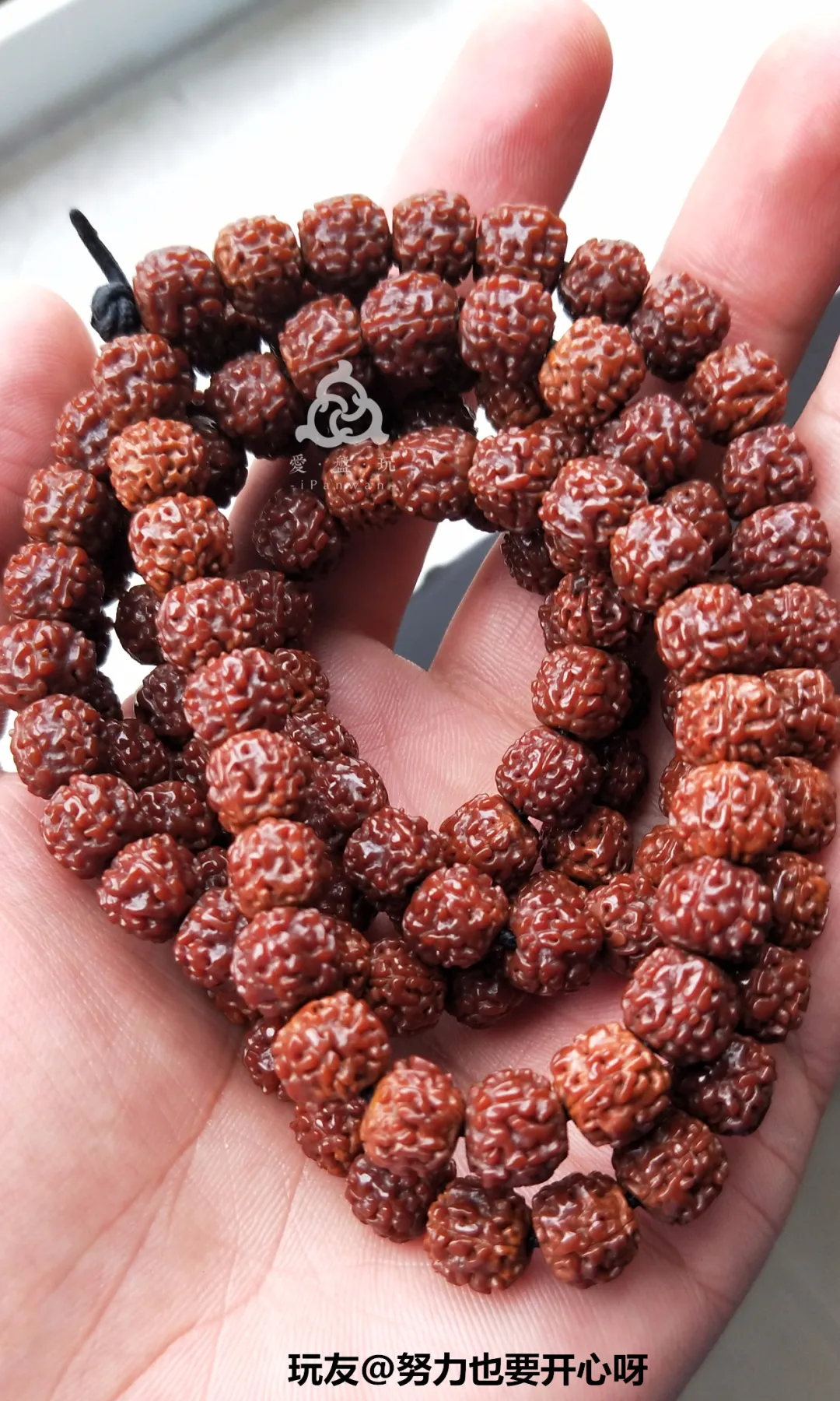 金刚多少钱(金刚砂多少钱一平米)-我的快乐小窝