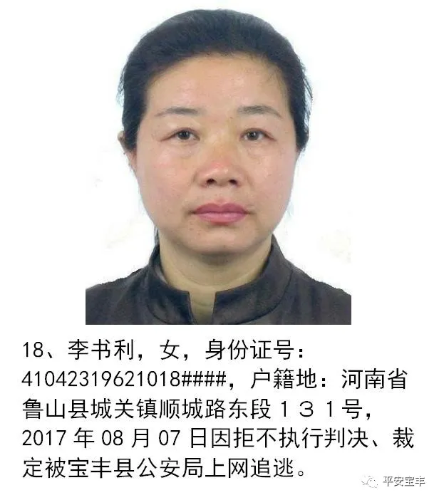 网上逃犯,网上逃犯名单查询系统