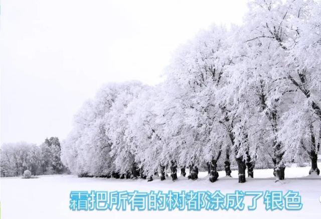 部编语文四年级下第26课《巨人的花园》知识点+图文讲解+课堂测试