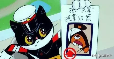 刷完100部“猫片”,发现你们对喵星人的偏见竟如此之大