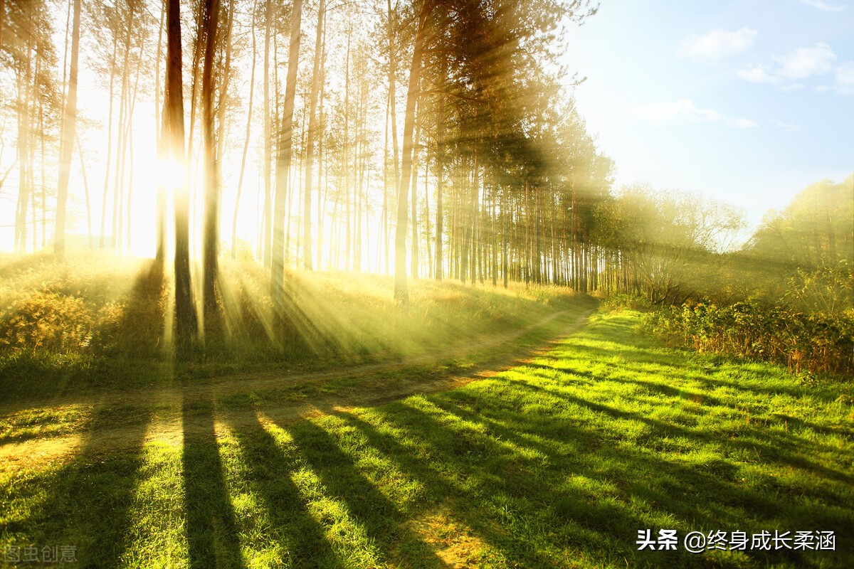 《论语》道德修养之“为政”篇—为政以德，众星共之