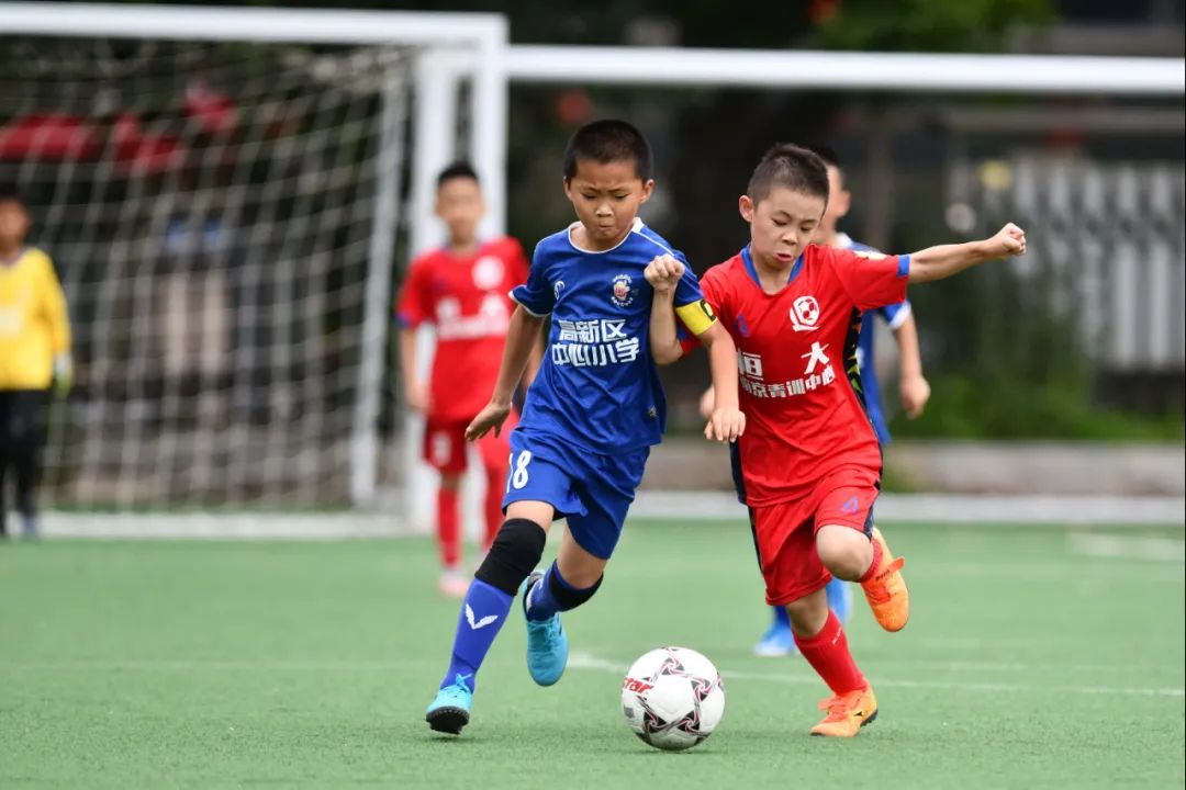 茄子体育足球直播(盛大启幕！东北路小学杯国际青少年足球精英赛全程直播)