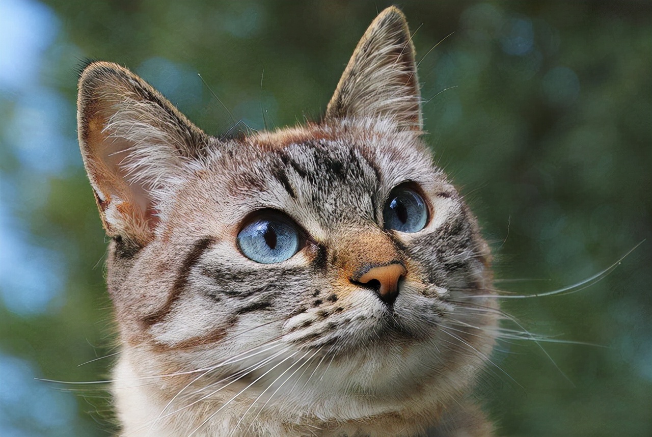 掌握这三个方法，副业越做越好