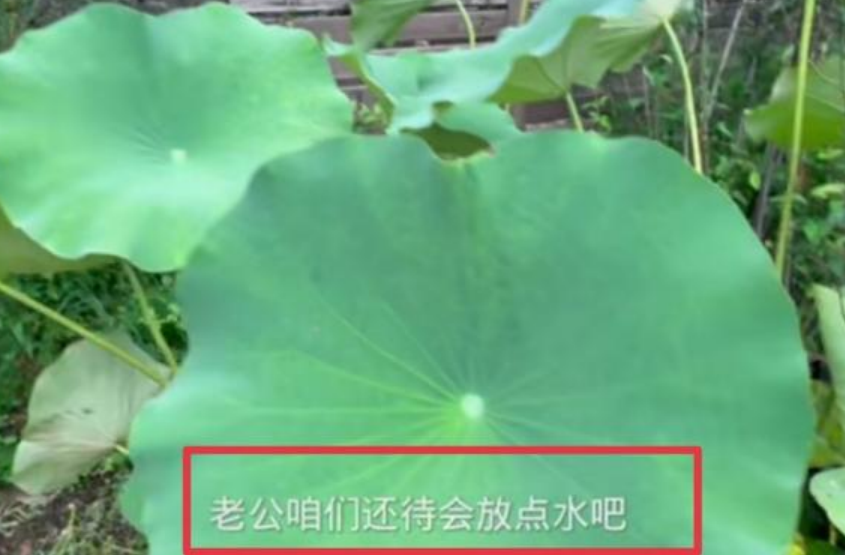 殷桃的现任老公(殷桃已结婚？与好友度假，无意间喊“老公”，神秘男友身份成疑)