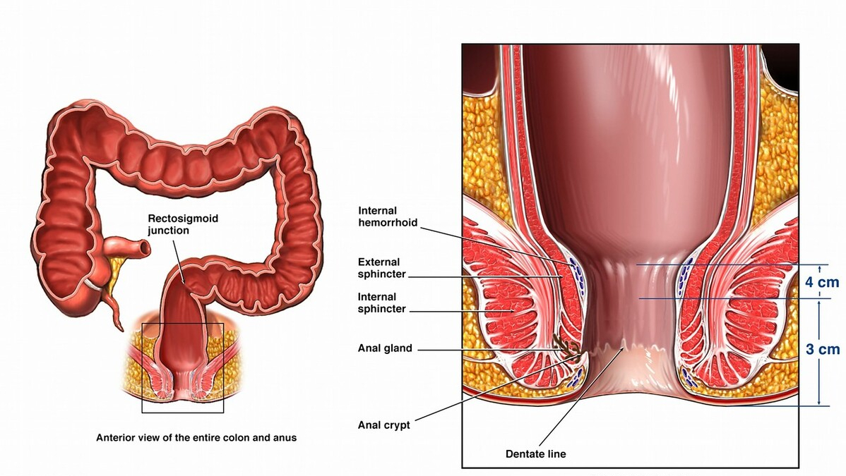 什么是肛门指检？别害怕，全程不到一分钟，就是有点小尴尬