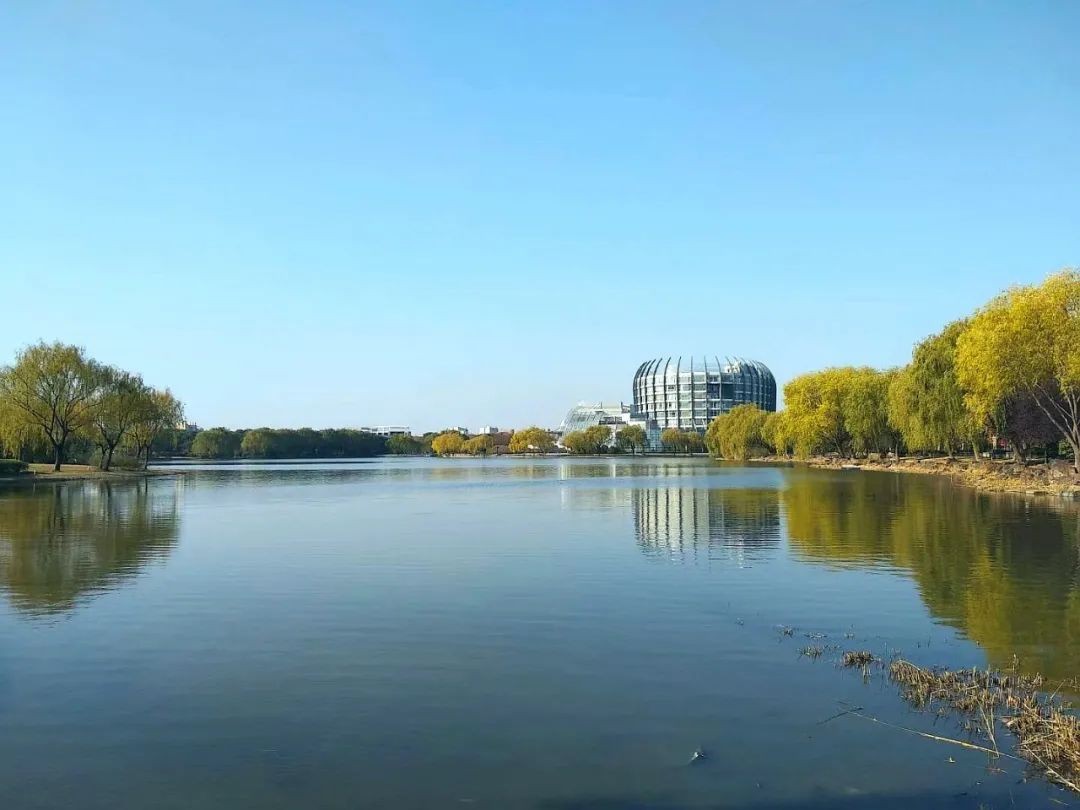 权威发布！东华大学2021年本科招生章程