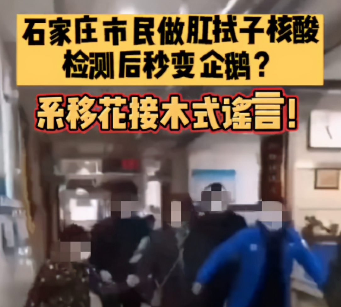 一地通报豆包和春花卷阳性，部分已售出 | 北京野生黑天鹅感染禽流感