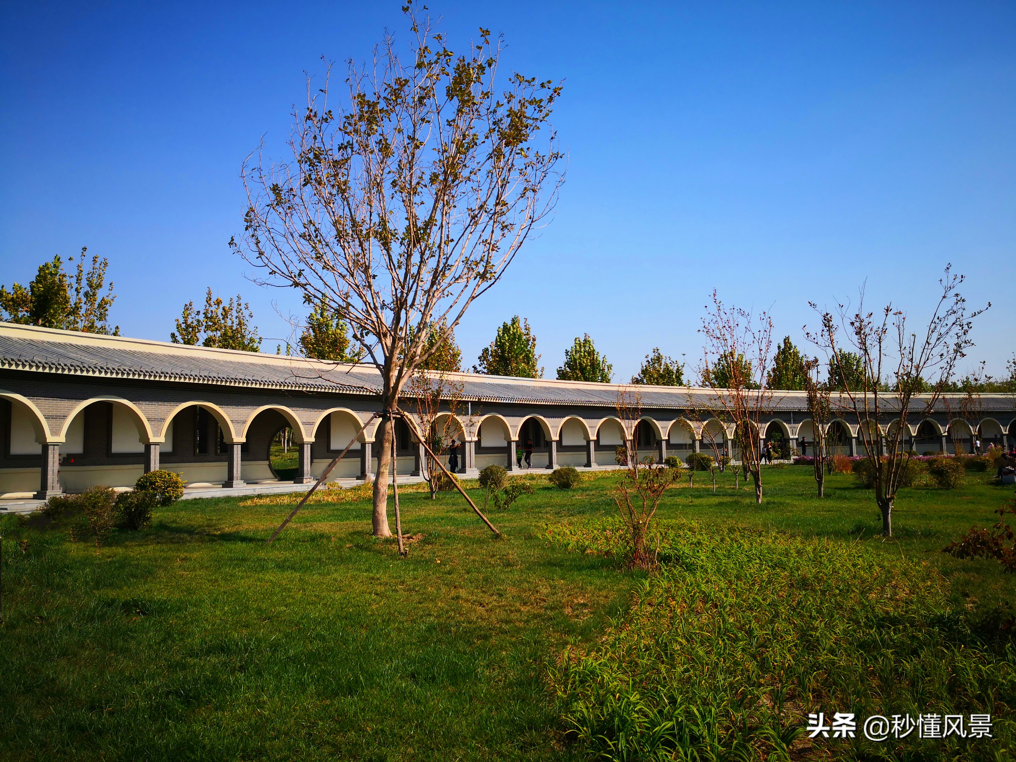 天津中西合璧园林,比水上公园人少,不要门票适合遛娃拍照赏秋 第7张