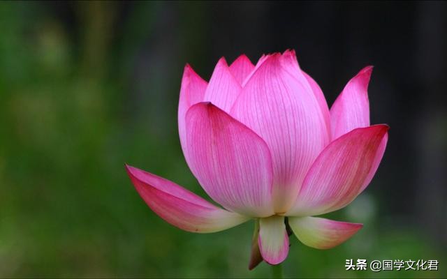 《道德经》静心箴言：纷扰中寻得内心安宁