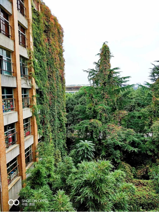 贵州大学图书馆官网（印象大学）