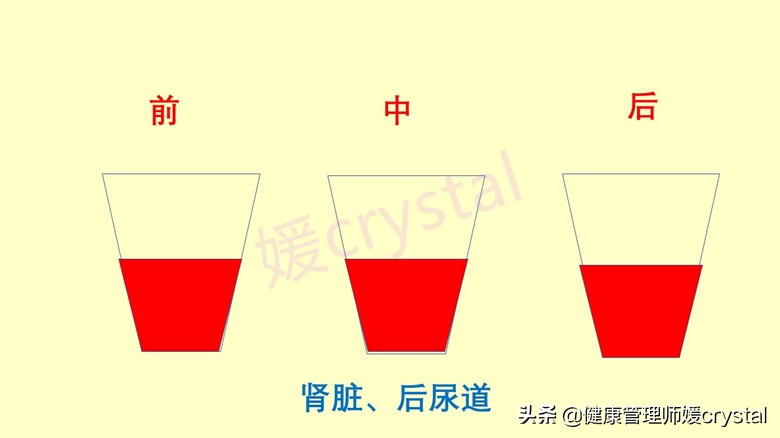 孩子尿液白色有沉淀，是不是健康有问题？4个方法判别