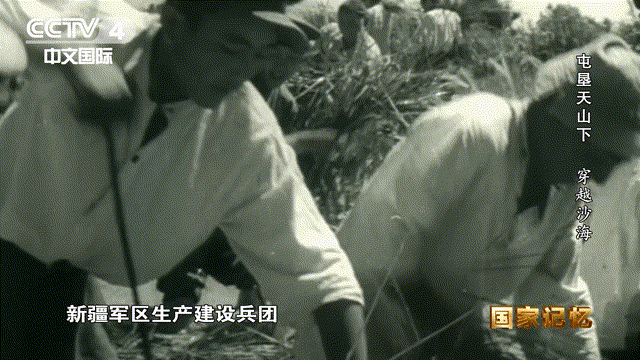 17位老人在宾馆地毯上睡了一夜，他们是谁？