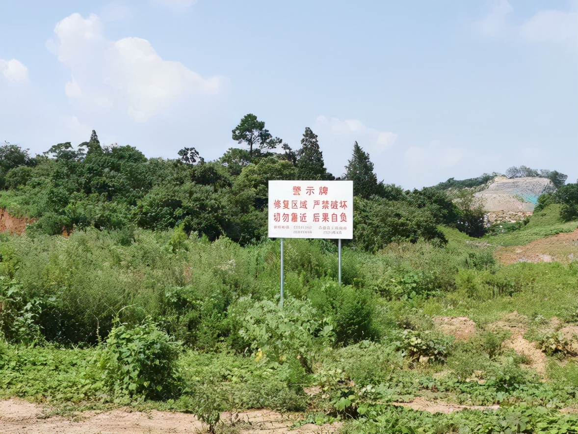 藏不住了！镇江现绝美网红打卡地