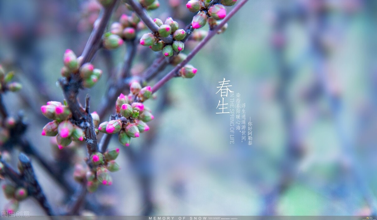 四月：梨花落，春欲晚，花事荼蘼，彼岸无期，闺中风暖，陌上草薰