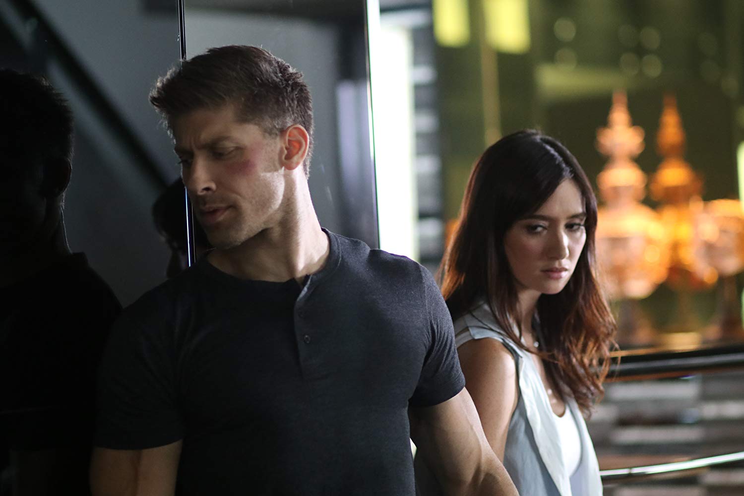 电影搏击之王反击好看吗 _晶羽科技