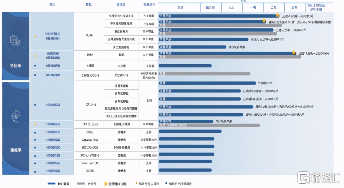 和铂医药-B：稀缺技术平台加持，营收连年翻