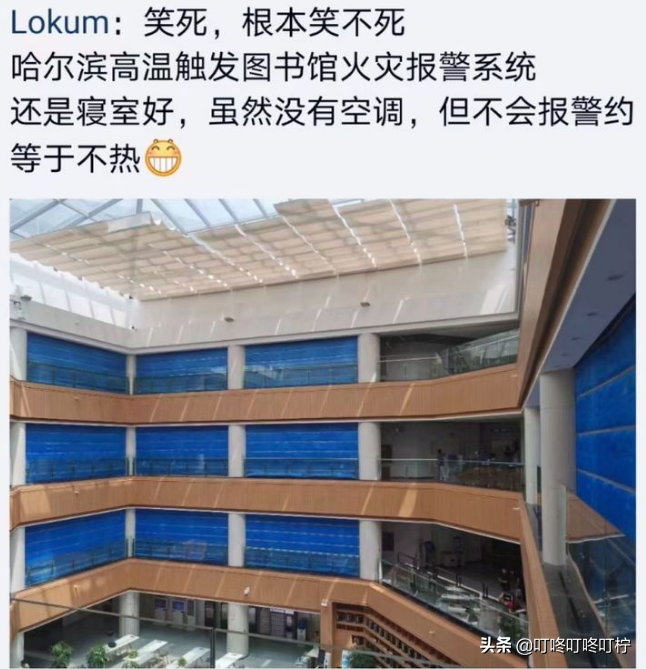 哈工大学生遭遇酷暑，无奈学校门前打地铺，学校处理方式“绝了”