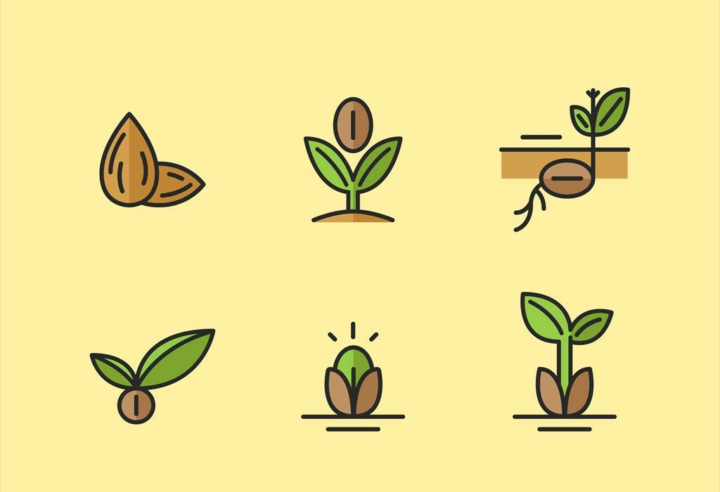 病从口入祸从口出什么意思语言是一门艺术