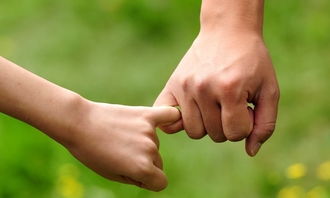 6篇写妈妈的高考满分作文:真挚动人，堪称范文