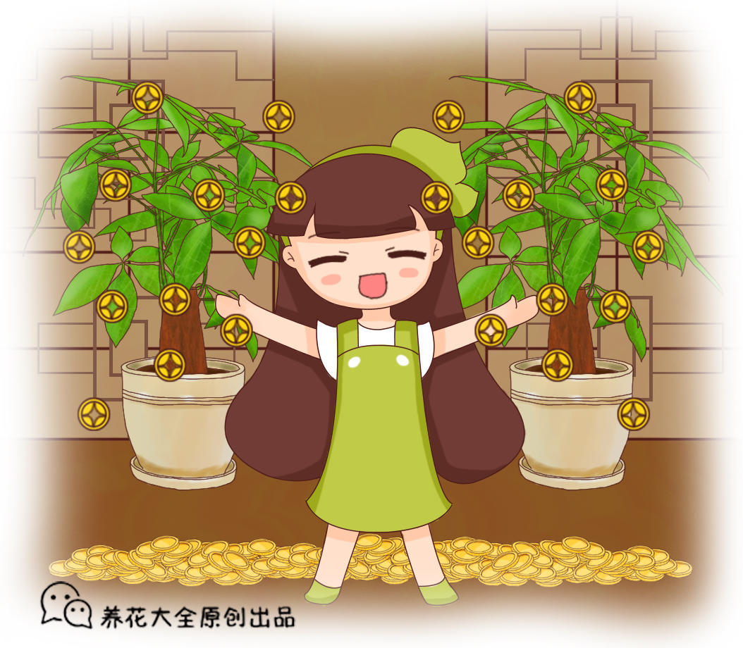 客厅适合养什么花和植物好风水（盘点8种自带财气的花）