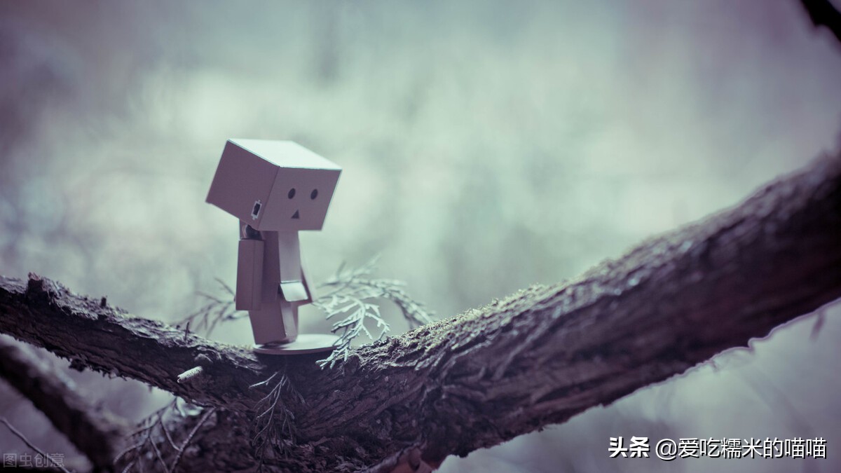 “爸爸离开后，我也不想活了”：遭遇亲人离世，如何才能重新生活