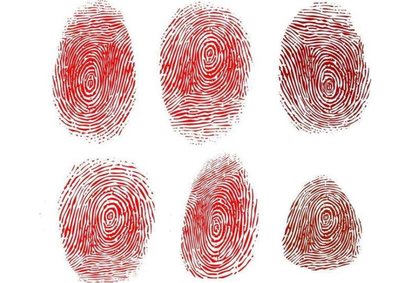 指印的含义 _飞翔号