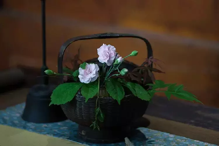 附庸风雅，一场羞死人的尴尬